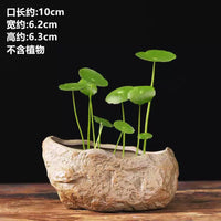 Ceramic Hydroponic Planter Bowl for Aquatic Plants and Small Bonsai