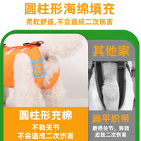 Multi-functional Pet Lifting Harness and Leash for Small Dogs