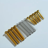 INTAI Humbucker Pickup Height Adjustment Screws, Springs, and Mounting Ring Screws Set for Electric Guitar