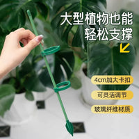 Adjustable Plant Support Stakes for Tomatoes, Cucumbers, and Climbing Vines