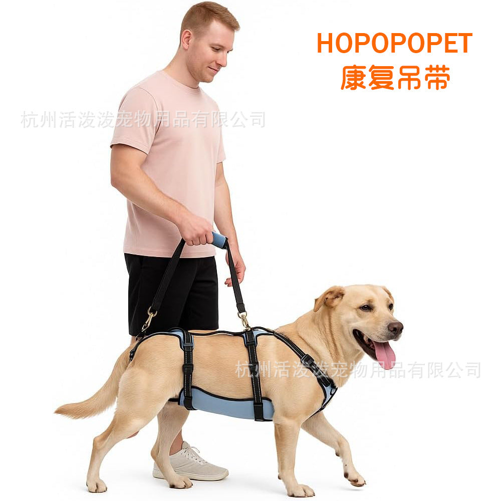 Dog Rear Leg Support Harness for Injured & Senior Dogs, Rehabilitation Aid Vest