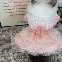 Handmade Sweet Mesh Doll Cat Golden Shaded Doll Outdoor Princess Dress
