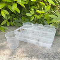 3-inch 6-Cell Clear Plastic Round Orchid Pot with Tray for Seedling Propagation