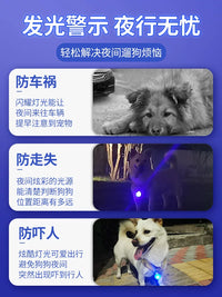 Pet LED Luminous Pendant & Collar Set for Night Safety