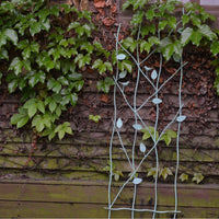 Wrought Iron Climbing Plant Trellis for Garden Decoration