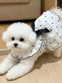 Pet Dog Summer Thin Princess Dress with Traction D-Ring for Small Dogs
