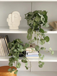 Artificial Begonia Leaf Hanging Vine for Home and Event Decor