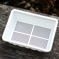 Mini Seedling Starter Trays with Humidity Dome for Succulents and Cuttings, PP Material