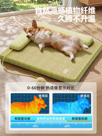 Pet Cooling Bed for All Seasons - Small to Large Dogs