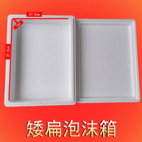 Flat Foam Insulated Shipping Box for Fresh Food & Gifts