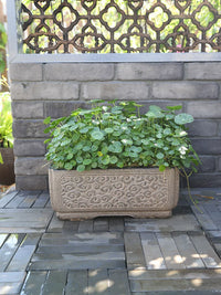 Outdoor Garden Villa Balcony Decorative Planter Pot Hydroponic Landscape Ornament