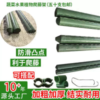 50-Pack Plastic-Coated Steel Plant Support Stakes for Climbing Vines, Flowers, and Vegetables