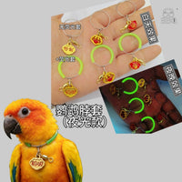 Luminous Stainless Steel Bird Collar for Parrots and Cockatiels, Anti-Escape Training Harness