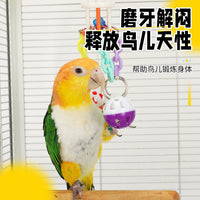 Parrot Acrylic Bell Ball Chew Toy for Budgies Cockatiels Conures