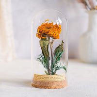 Vintage Dried Flower Specimen Glass Dome Ornament for Home Decor and Gifting