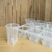 3-inch 6-Cell Clear Plastic Round Orchid Pot with Tray for Seedling Propagation