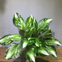 Artificial Hosta Leaf Green Wall Decor for Balcony & Indoor Vertical Gardens