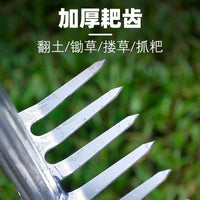 Clam Rake and Soil Loosener for Gardening and Beachcombing, Steel Rake with Multiple Tines