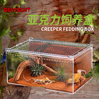 Acrylic Transparent Reptile Breeding Box for Lizards, Frogs, Spiders, and Small Snakes