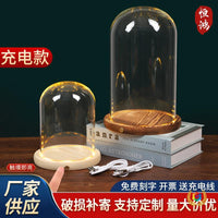 Rechargeable Lighted Glass Display Dome with Wooden Base for Figurines and Collectibles