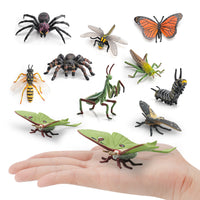 Realistic Tropical Rainforest Insect Animal Model Figurines