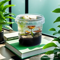 Transparent Portable Fish Tank for School Biology Micro-Landscape Eco-Bucket Food Grade Plastic Kids Ornamental Fish Bucket