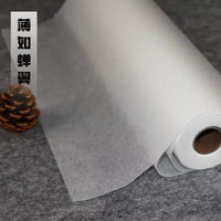 Woven Cicada Wing Xuan Paper Roll for Calligraphy and Painting, Semi-Sized, Transparent Tracing, Fine Line Drawing