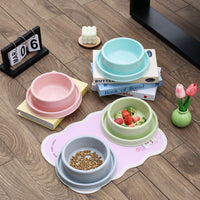 Anti-Ant Pet Bowl for Cats and Dogs, Non-Slip Elevated Food and Water Dish, Spill-Proof Design