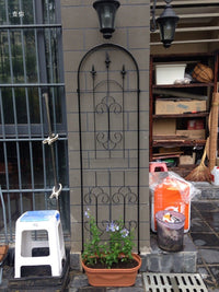 European Style Wrought Iron Plant Climbing Trellis for Roses and Flowers, Outdoor Garden Screen