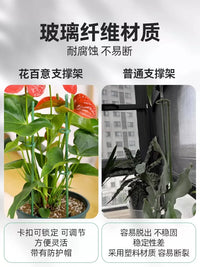 Plant Support Stakes for Tomatoes, Peppers, and Climbing Vines - Garden Flower Stand
