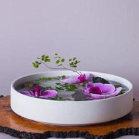 Minimalist Japanese-Style Plastic Flower Pot for Hydroponics and Floral Arrangements