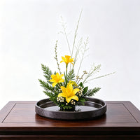 Japanese Wabi-Sabi Style Ceramic Flower Pot with Kenzan - Round Black Shallow Dish for Hydroponics & Home Decor
