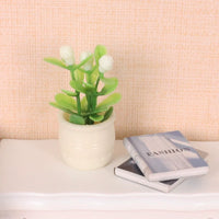 Dollhouse Miniature Potted Plants Set for Outdoor Landscape Decor