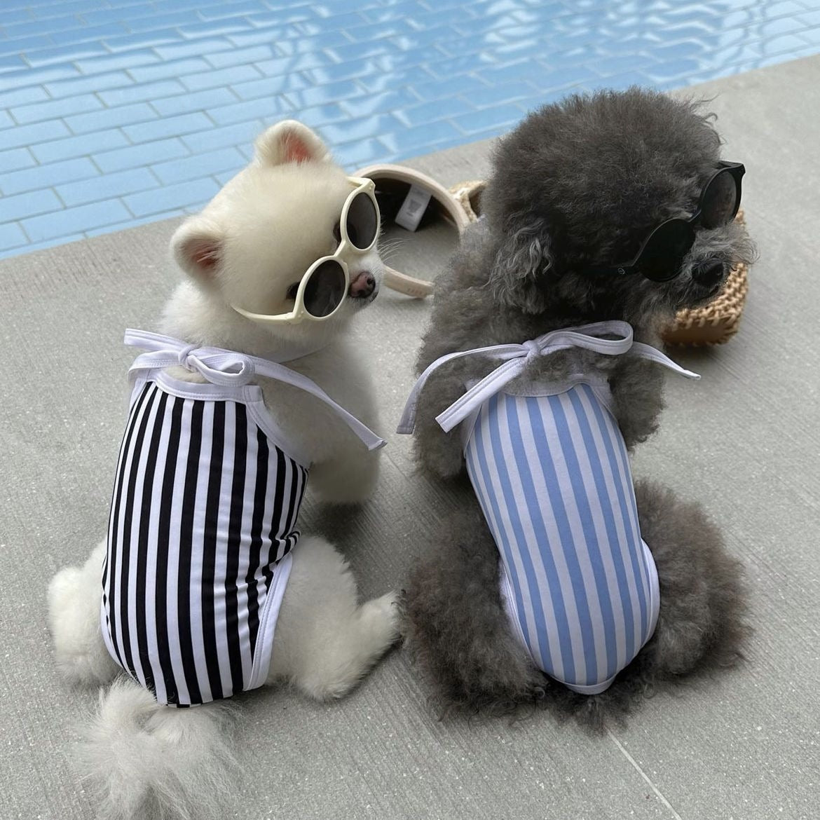 Pet Dog Swimsuit Teddy Bichon Beach Jumpsuit