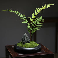Preserved Moss Bonsai Wabi-Sabi Style Artificial Plant for Office & Hotel Decor