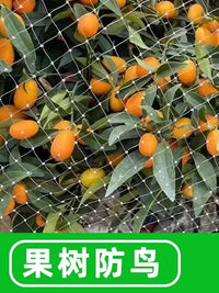 Nylon Anti-Bird Netting for Fruit Trees, Gardens, and Ponds - UV Resistant Protective Mesh