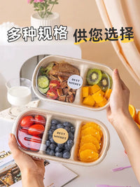 Eco-Friendly Divided Pulp Lunch Boxes for Picnics & Camping, Microwave & Freezer Safe