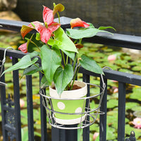 Stainless Steel Balcony Railing Planter Holder Hanging Flower Pot Rack