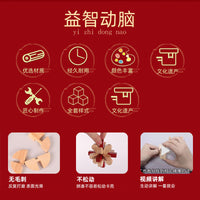 Kongming Luban Lock Puzzle Box Set for Kids, Educational Brain Teaser Toy