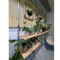 Minimalist Floor-to-Ceiling Aluminum Plant Stand Living Room Planter Shelf Storage Rack