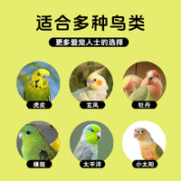 Guangzhiya Metal Bird Cage for Parakeets, Cockatiels, Mynah Birds, Finches, Peony Birds - Breeding and Aviary Cage