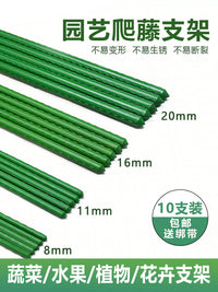 Plant Support Stakes for Climbing Vines, Tomatoes, Cucumbers, and Flowers - Plastic-Coated Steel