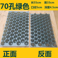 Seedling Starter Trays for Fruits, Vegetables, and Tobacco - Reusable Plastic Plant Germination Trays