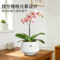 Orchid Pot Double-Layer Breathable Root Control Planter for Hydroponics and Moss Culture