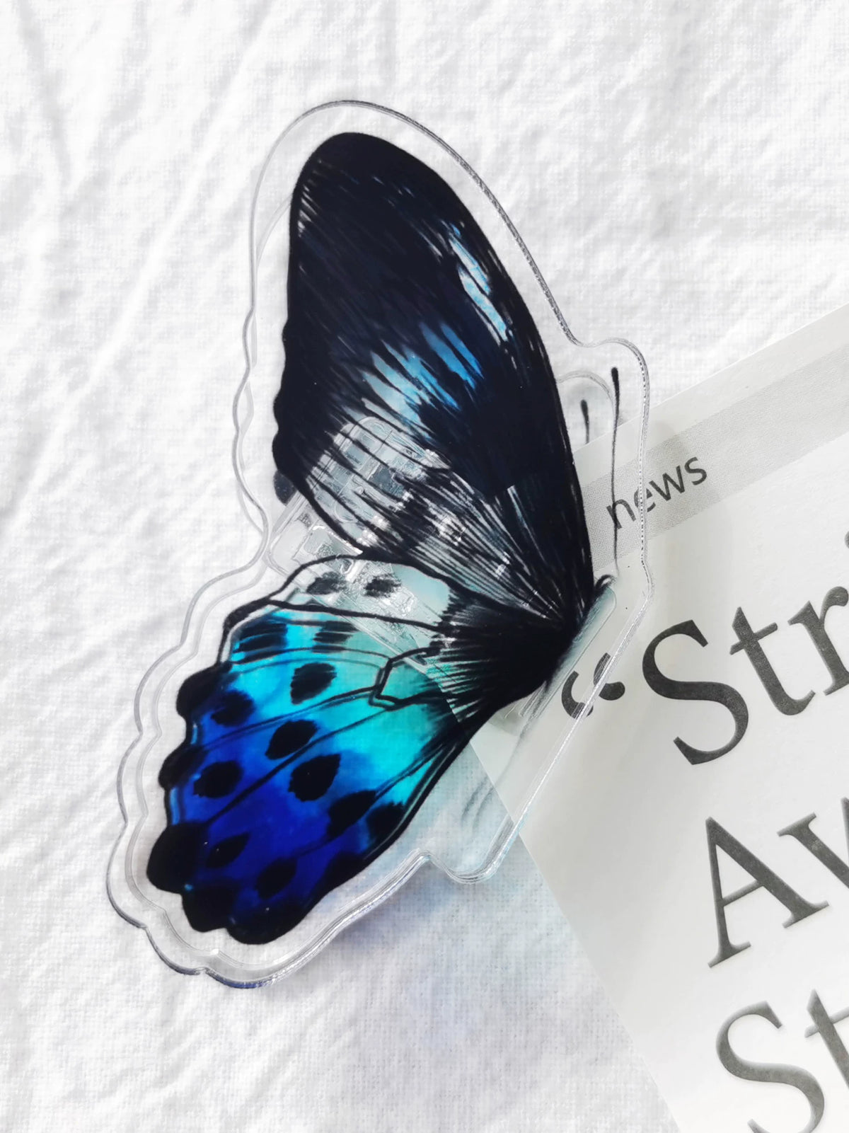 Butterfly Acrylic Clip for Journals, Photos, and Notes - Transparent Decorative Fastener