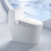 Smart Bidet Toilet Seat with Remote Control, Heated Seat, Instant Warm Water, Auto Open/Close Lid