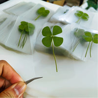 Lucky Four-Leaf Clover Transparent Card Bookmark
