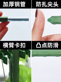 Plant Support Stakes for Climbing Vines, Tomatoes, Eggplants, Cucumbers, and Roses