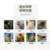 Luxury Tall Bird Cage for Home, Large Villa Design for Parrots, Cockatiels, Peonies, Mynahs, and Breeding