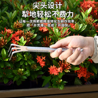Stainless Steel Bonsai Rake Garden Tool for Soil Loosening and Weeding